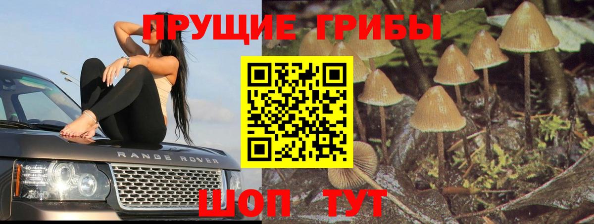 Пыть-Ях  Псилоцибиновые грибы Cubensis  Псилоцибиновые грибы ЛСД  Вход с VPN 