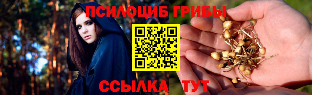 Галлюциногенные грибы мицелий Пыть-Ях
